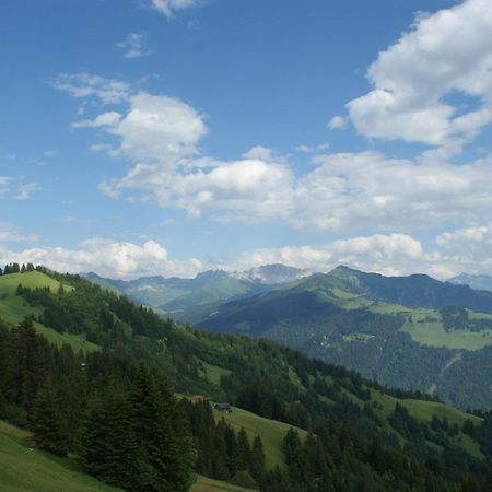Gaestehaus Alpina In Fanas Bagian luar foto