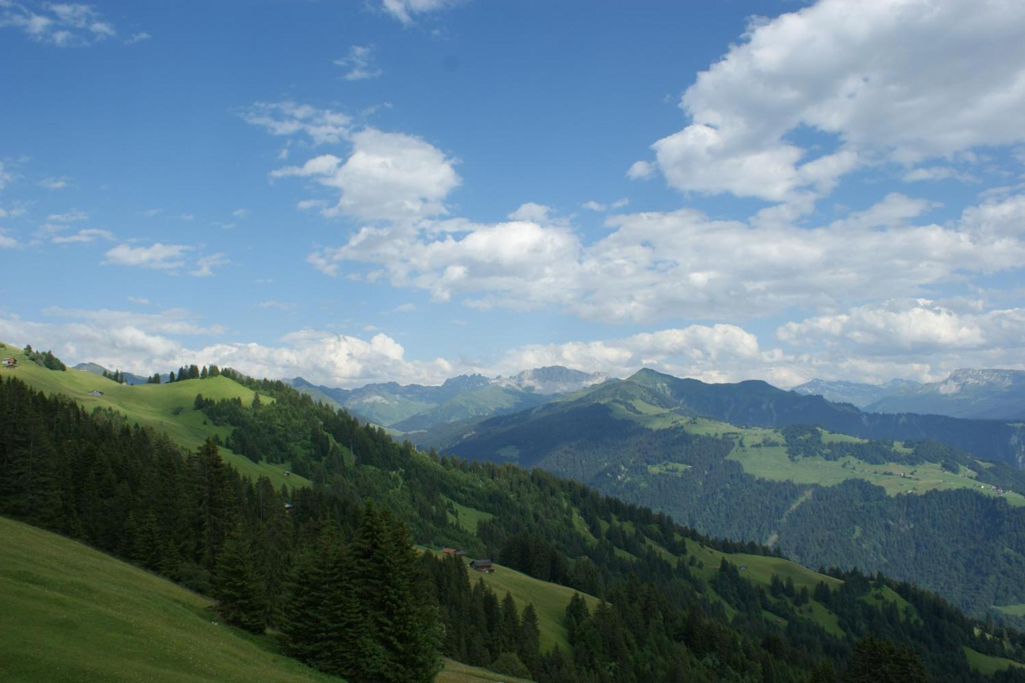 Gaestehaus Alpina In Fanas Bagian luar foto